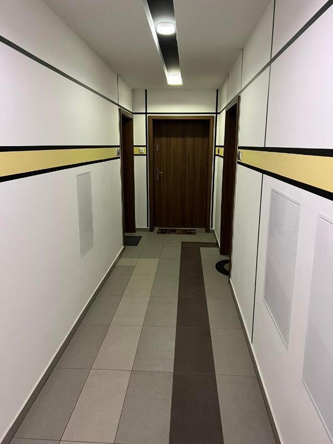 Big Forest Apartman Leilighet Debrecen Eksteriør bilde