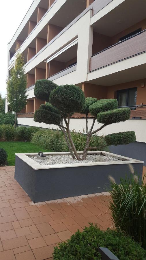 Big Forest Apartman Leilighet Debrecen Eksteriør bilde